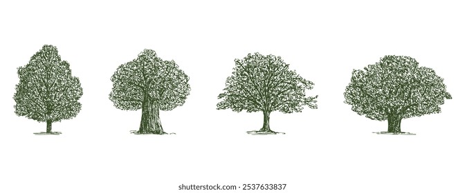 Handzeichnung von verschiedenen alten Laubbäumen Silhouetten, Vektorgrafik einzeln auf Weiß