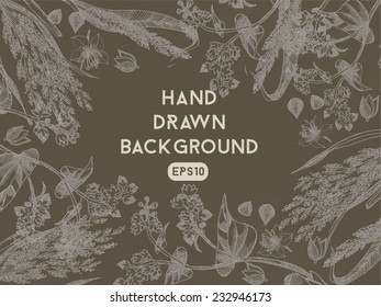 Hand drawing vector background of buckwheat and millet