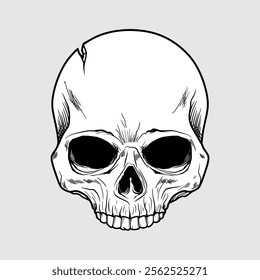 Hand drawing vector. black and white skull head or bones vector