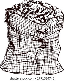 Hand drawing vector coffee bean bag.