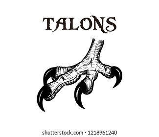 Hand Drawing Vector Eagle Claws Talons Feet Sign Symbol Icon Logo Template Design Inspiration