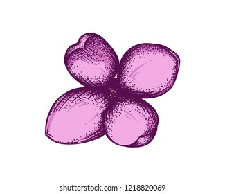 Hand Drawing Vector Fresh Lavender or Jasmine Flower Sign Symbol Icon Logo Template Design Inspiration