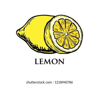 Hand Drawing Vector Fresh Yellow Lemon Fruits Sign Symbol Icon Logo Template Design Inspiration
