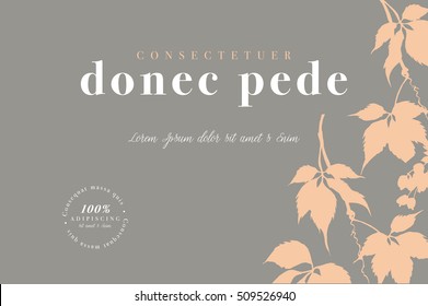 Hand drawing vector illustration with autumn maple leaves. Pattern background and frames with copy space for text for cosmetics, beauty products, organic. Modern ornaments
