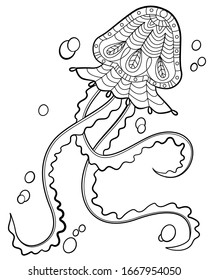 Hand drawing vector illustration in black outline on a white background. Sea inhabitants, jellyfish coloring page for children and adults. Beautiful drawings with patterns and small details.
