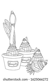 Hand drawing vector illustration. Coloring page. Amaryllis bulb with sprout and roots. Amaryllis in a pot. Growth stages. Hippeastrum sprout. Spring Flower. Spring gardening illustration.
