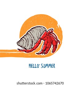 Hand drawing vector illustration - Crab hermit. Isolated on white background