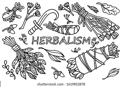 Hand drawing vector illustration. Ink sketch. Medicinal herbs, dry herbs for aromatherapy, sickle for collecting herbs. Herbalism, witchcraft, Wicca and occult. Botanical illustration. Coloring page