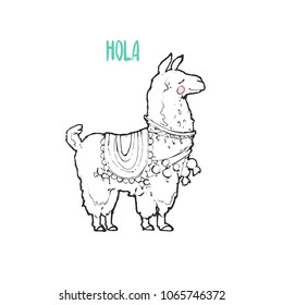 Hand drawing vector illustration - Lama. Isolated on white background