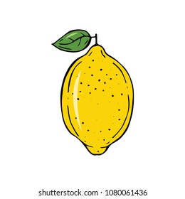  Hand drawing vector illustration of lemon.