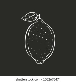  Hand drawing vector illustration of lemon.