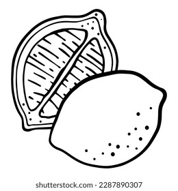 Hand drawing vector illustration of lemon