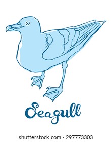 hand drawing vector illustration of Seagull with hand lettering