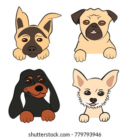 Hand drawing vector illustration of Sketch funny dogs for label, stamp, print, logo and postcard. 