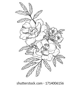 Hand drawing vector illustration with spring flowers. Beautiful and romantic picture with summer floral composition.