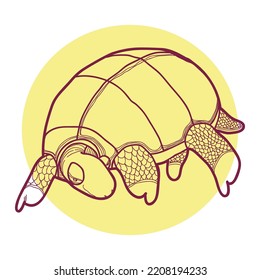 Hand drawing vector illustration of tortoise with simple style