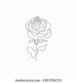 Hand drawing vector one line stroke plant leaves and flower. Abstract rose on a white background.