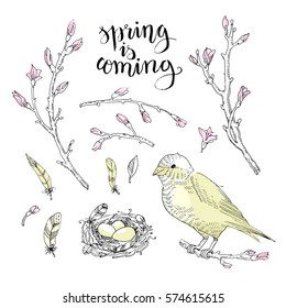 Hand drawing Vector set of Spring gentle brunch of cherry bud with feather, bird and nest isolated on white background. text Spring is coming