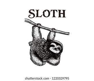 Hand Drawing Vector a Sloth Animal Hang On a Tree Branch Sign Symbol Icon Logo Template Design Inspiration