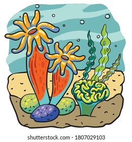 Hand Drawing Vector Undersea Corals Cartoon Colorful Illustration