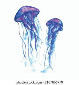 Hand drawing Vector watercolor jellyfish, jellyfish beautiful blue, isolated object, marine life