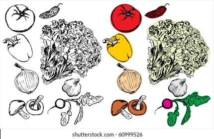 Hand drawing vegetables collection
