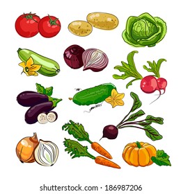 Hand drawing vegetables set