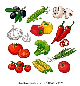 Hand drawing vegetables set