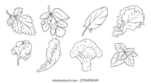 ilustração de vetor de legumes de desenho à mão
