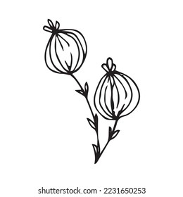 Forma vectorial de los Verduras de dibujo a mano