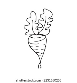 Hand Drawing Vegetables Vector Shape