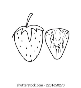 Hand Drawing Vegetables Vector Shape