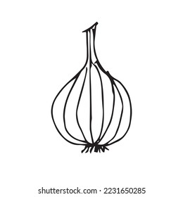 Hand Drawing Vegetables Vector Shape