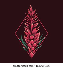 Hand drawing vintage alpinia purpurata vector illustration