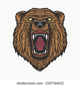 Hand drawing vintage angry bear head vector illustration