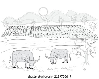 hand drawing vintage black and white of landscape with mouatain, sunset rice field at the river water, bufallow eating grass near tree, silhouette vector backgrond. illustrator  