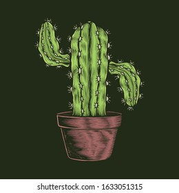 Hand drawing vintage cactus pot vector illustration