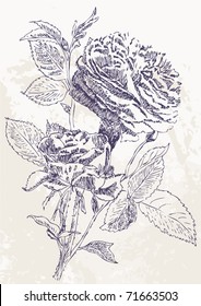 Hand drawing - vintage card