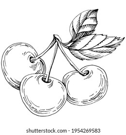 С handgezeichnete Vintage-Clip-Art. Beeren-Logo oder Tattoo sehr detailliert in Linie Art-Style-Konzept. Schwarz-Weiß einzeln. Antike Vintage-Gravierungsgrafik für Embleme