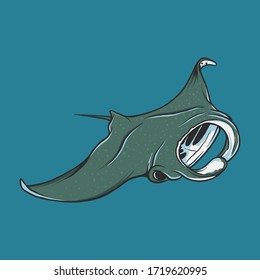 Hand drawing vintage manta vector illustration