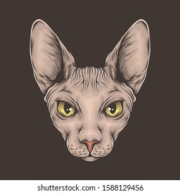 Hand drawing vintage sphynx cat head vector illustration