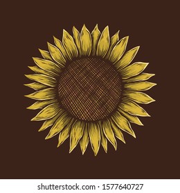 Hand drawing vintage sunflower vector illustration