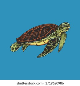 Hand drawing vintage turtle vector illustration