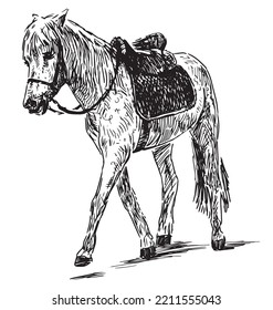 Hand drawing of walking harnessed horse