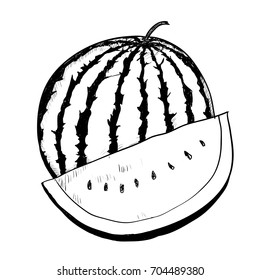 Hand drawing of Watermelon on white background. Black and White simple line Vector Illustration for Coloring Book - Line Drawn Vector