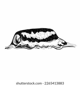 Hand drawing waves. Sea weaves. Black and white sketch