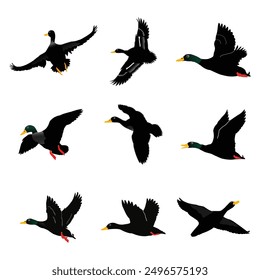 Hand drawing wild animal duck silhouettes design