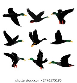 Hand drawing wild animal duck silhouettes design