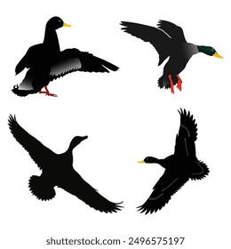 Hand drawing wild animal duck silhouettes design