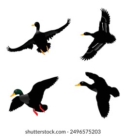 Hand drawing wild animal duck silhouettes design